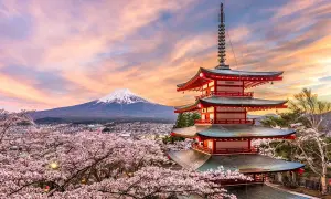 Piękna pagoda i kwitnące wiśnie przed górą Fudżi. W Japonii swastyka oznacza szczęście i pomyślność.