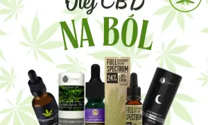 Czy olejek CBD można kupić w aptece? Sprawdź, gdzie go dostać i czy jest legalny